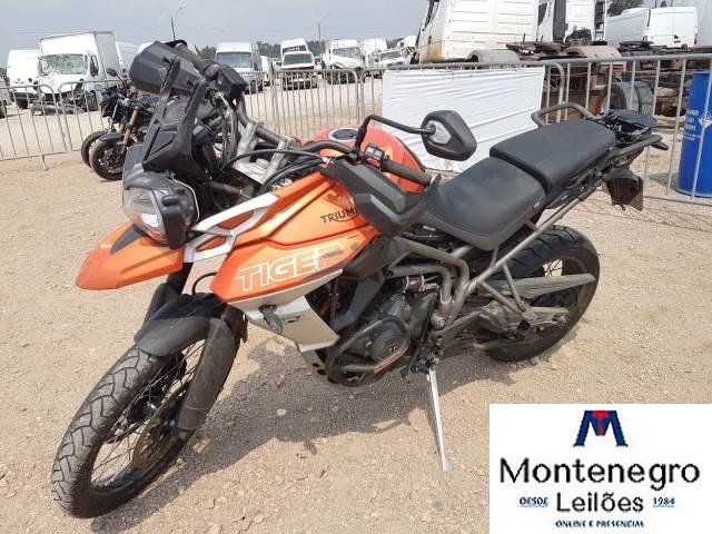 TIGER 800 XCA