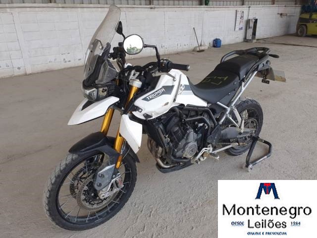 TIGER 900 RALLY